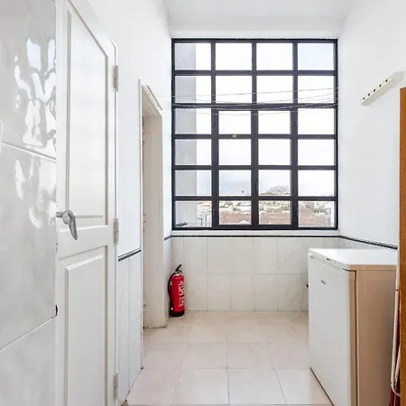 Daire Wonderful 4br Flat Near Liberdade Avenue